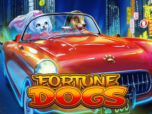 Fortune Dogs